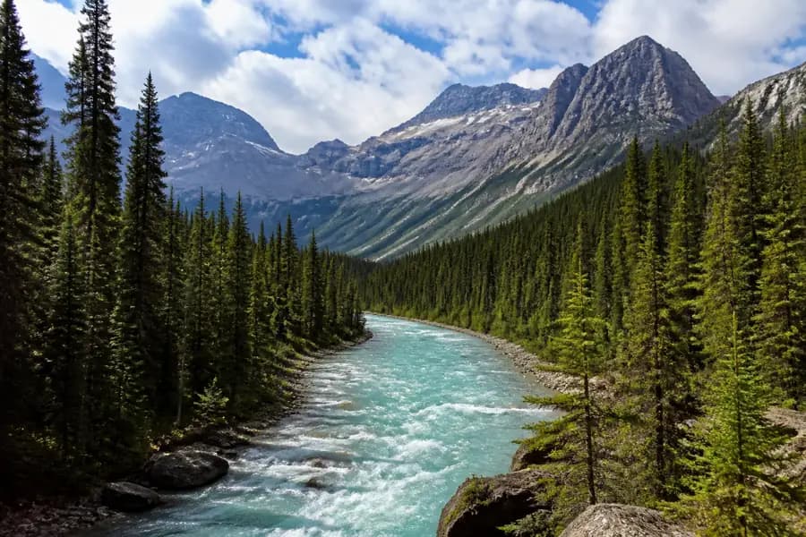 Mountain valley in Jasper National Park, Canada